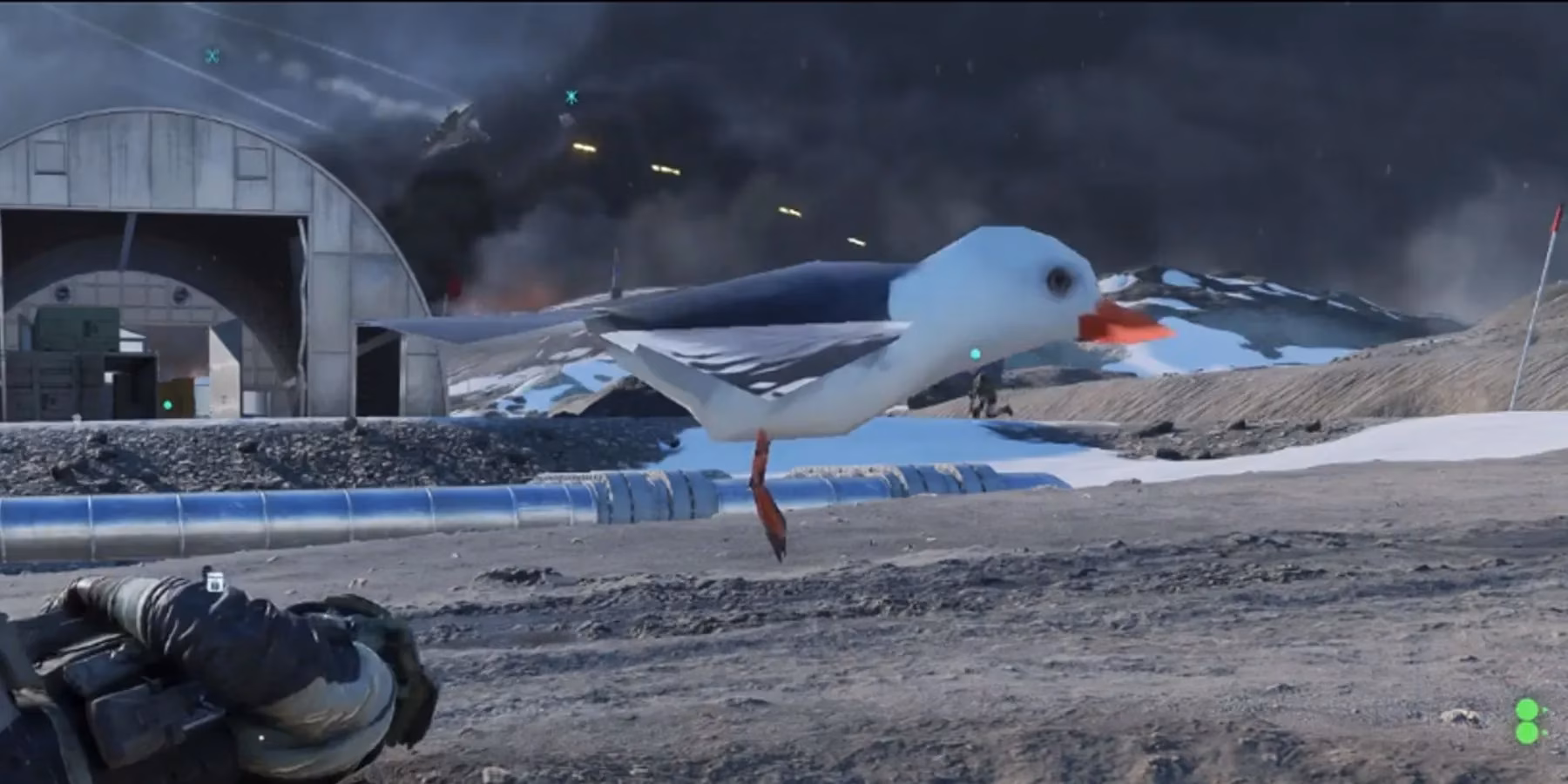 that-time-a-low-res-seagull-hijacked-battlefield-2042-s-entire-war-image-0